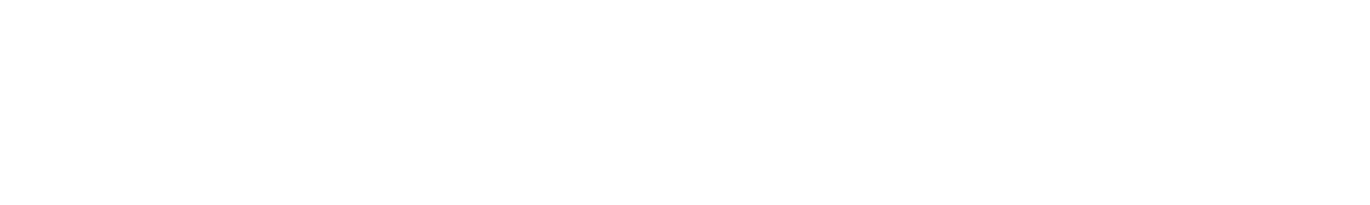vivawallet-logo